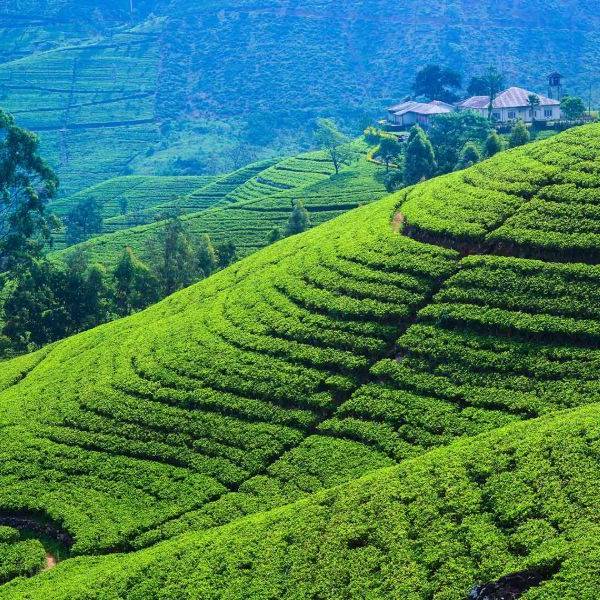 Sri Lanka